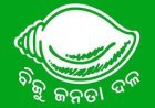 ୫ ଲୋକସଭା ପାଇଁ ବିଜେଡ଼ି ସଂଯୋଜକ