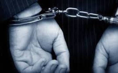 କାଠ କାଟିବାକୁ ମନା କରିବାରୁ ଯୁବକଙ୍କୁ କୋଦାଳ ଚୋଟ ; ଅଭିଯୁକ୍ତ ଗିରଫ