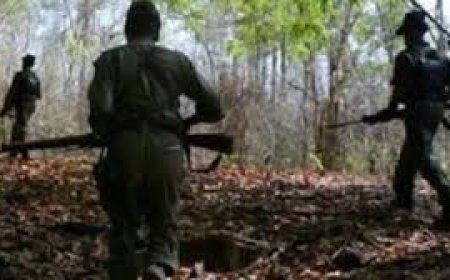 ସୀମାନ୍ତରେ ୯ ମାଓବାଦୀ ନିହତ