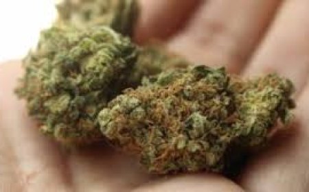 ରାଜଧାନୀରେ ଅପରାଧୀ ଓ ନିଶା ମାଫିଆଙ୍କୁ ନିସ୍ତାର ନାହିଁ