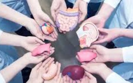 ଅଙ୍ଗଦାନ ସଚେତନତା ଅଭିଯାନ