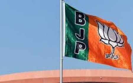 ବିଜେପିରୁ ଇସ୍ତଫା ଦେଲେ ଭାଗିରଥୀ
