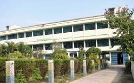 ଅଲଗା ପରେ ବି ଲିଭ ଇନ୍ ପାର୍ଟନର ପାଇବେ କ୍ଷତିପୂରଣ