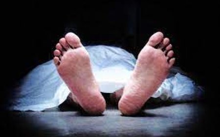 ହମ୍ପସ୍ ନେଲା ଅଙ୍ଗନୱାଡ଼ି ଦିଦିଙ୍କ ଜୀବନ