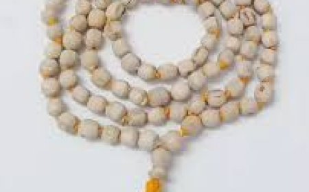 ତୁଳସୀ ମାଳା ଧାରଣ କରିବାର କାରଣ କଣ ?