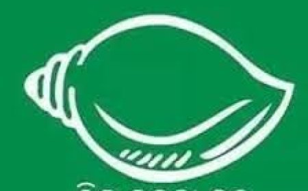 ନୂଆପଡା ଜିଲ୍ଲା ଯୁବ ବିଜେଡି ସଭାପତି ଛାଡ଼ିଲେ  ବିଜେଡି