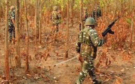 ମୁହାଁମୁହିଁ ହେଲେ ସୁରକ୍ଷାକର୍ମୀ- ନକ୍ସଲ, ଗନ୍ଧମାର୍ଦ୍ଦନରେ ଗୁଳି ବିନିମୟ