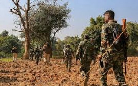 ଛତିଶଗଡରେ ଏନ୍କାଉଣ୍ଟର,  ୨୯ ନକ୍ସଲ ନିପାତ