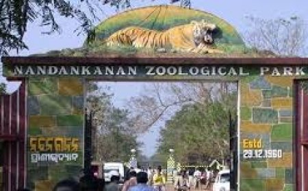 ନନ୍ଦନକାନନର ଧଳା ବାଘୁଣୀ ସ୍ନେହା ମୃତ