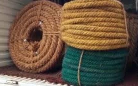 ରଥ   ପାଇଁ  ପୁରୀରେ ପହଞ୍ଚିଲା ରଥ ଦଉଡ଼ି