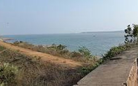 ପ୍ରଦୂଷଣମୁକ୍ତ ଋଷିକୂଲ୍ୟା ପାଇଁ ନିଆରା ପ୍ରୟାସ