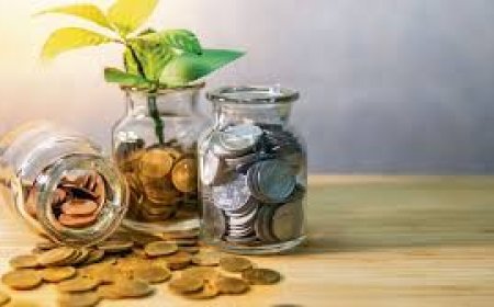 ଜୀବନ ଯନ୍ତ୍ରଣାରେ ଅର୍ଥ ସାଜିଛି ବାଧକ