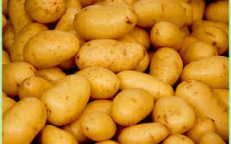 ଆଳୁ  ଦର ଚଢ଼ା, ଚିନ୍ତାରେ ଖାଉଟୀ