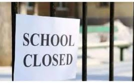 ଗ୍ରୀଷ୍ମଛୁଟିରେ ଡ୍ୟୁଟି କରିବେ ଶିକ୍ଷକ