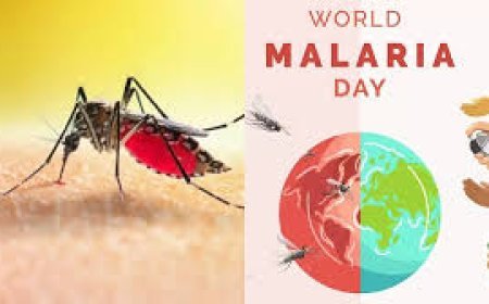 ବିଶ୍ୱ ମ୍ୟାଲେରିଆ ଦିବସ ପାଳିତ