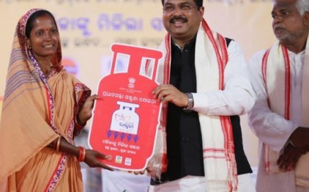 ଧର୍ମେନ୍ଦ୍ରଙ୍କୁ ସଫଳତା ଦେବ କି ଉଜ୍ଜ୍ୱଳା ?