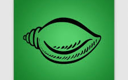 ଏହି ଲୋକସଭା ଆସନରେ ନିଶ୍ଚିତ ଜିତିବ ବିଜେଡ଼ି