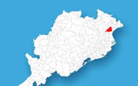 ସ୍ୱାଧୀନକୁ ଆପଣେଇ କି ନୀଳଗିରିବାସୀ?