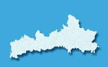 ନବରଙ୍ଗପୁର ମଇଦାନରେ ଚାରି ମହିଳା ପ୍ରାର୍ଥୀ