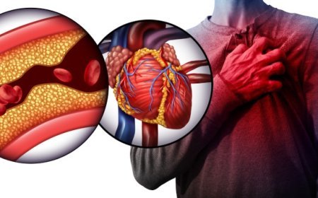 ହାର୍ଟଆଟାକର ମୁଖ୍ୟ କାରଣ,ବହଳିଆ ରକ୍ତ
