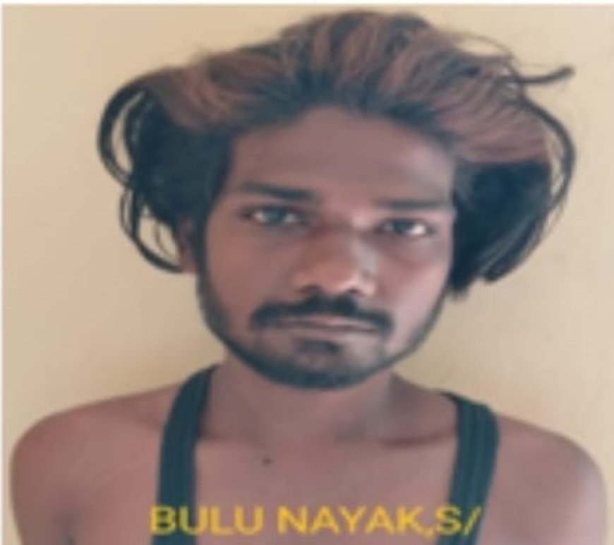 କୁଖ୍ୟାତ ଚେନ୍ ଲୁଟେରା ଗୁଲୁ ଓ ଟିକିକୁ ସଜ୍ଜା