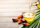 ପାମ୍ ତେଲର ସ୍ୱାସ୍ଥ୍ୟ ଉପକାରିତା