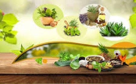 ଓଡ଼ିଶାରେ ଆୟୁର୍ବେଦ