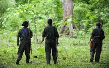 ମାଓ ଶିବିର ଧ୍ୱଂସ, ବିପୁଳ ମାଓ ସାମଗ୍ରୀ ଜବତ