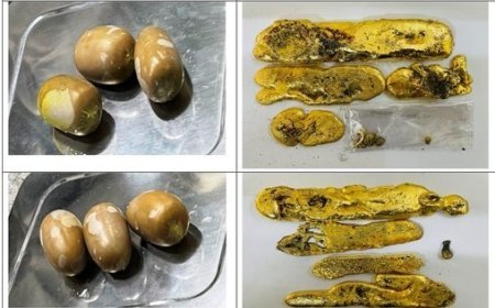 ମଳଦ୍ୱାରରେ ଆଣୁଥିଲେ ୩ କେଜି ୭୭ ଗ୍ରାମ ସୁନା ; ୪ ଗିରଫ