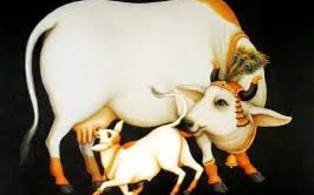 ଖାଇବା ପୂର୍ବରୁ ଗୋମାତାଙ୍କୁ   କିଛି ସମର୍ପଣ କରି ଖାଆନ୍ତୁ; ହେବନି ଧନର ଅଭାବ