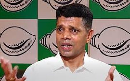 ଏବେ ମୁଁ ପେନ୍‌ସନ୍‌ରେ ବଞ୍ଚିବି:ପାଣ୍ଡିଆନ୍‌