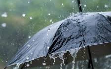 ୨୪ଘଣ୍ଟା ମଧ୍ୟରେ ୧୫ଟି  ଜିଲ୍ଲା ପାଇଁ ଘଡ଼ଘଡ଼ି ସହ ବର୍ଷା  ; ସତର୍କ ସୂଚନା ଜାରି