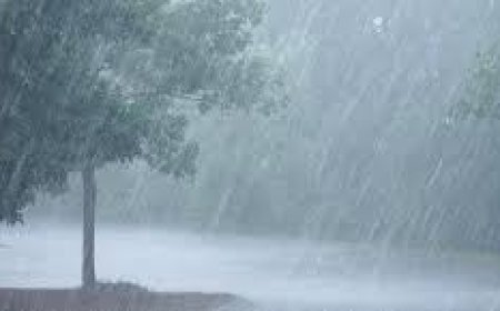 ଅସ୍ତବ୍ୟସ୍ତ କଲା କାଳବୈଶାଖୀ ବର୍ଷା