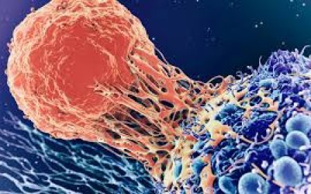 କାରରେ ବସିଲେ ହେଉଛି କ୍ୟାନସର?