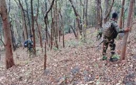 ପୁଲିସ ଗୁଳିଲେ ଟଳିଲେ ୩ ନକ୍ସଲ