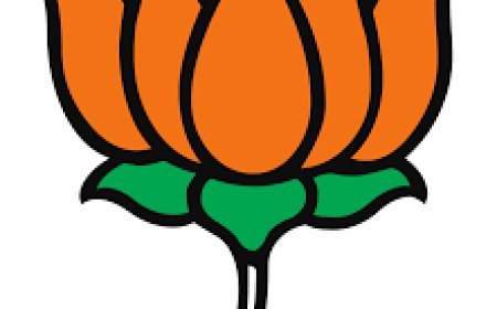 ବିଜେପିକୁ କେତେ ଫାଇଦା ଦେବ ନୂଆ ରଣନୀତି ?