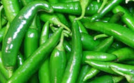 ଚିନ୍ତା ଦୂର କରେ କଞ୍ଚା ଲଙ୍କା