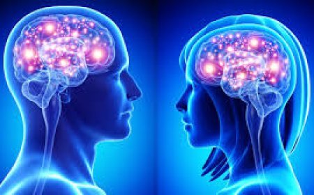 ମସ୍ତିଷ୍କର ଶକ୍ତି ବଢ଼ାଇବ ସୁପର୍‌ ଫୁଡ