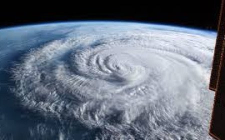 କେତେକ ଜିଲ୍ଲାରେ ପ୍ରବଳ ବର୍ଷାର ସମ୍ଭାବନା : ବାତ୍ୟାର ପ୍ରଭାବ