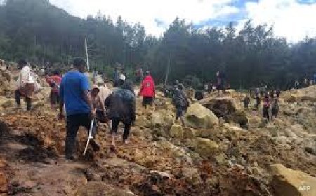 ପପୁଆ ନ୍ୟୁ ଗିନି ଭୂସ୍ଖଳନ: ମୃତ୍ୟୁସଂଖ୍ୟା ୬୭୦କୁ ଅଧିକ