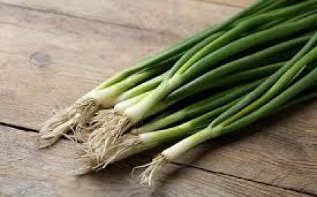 ପିଆଜ ଶଣ୍ଢା  ରଖେ ଇନ୍ସୁଲିନ୍ ସ୍ତର ସନ୍ତୁଳିତ