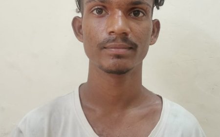 ଶୋଇଥିବା ବେଳେ ଘରୁ ମୋବାଇଲ ଚୋରି ; ଲୁଟେରା ଗିରଫ