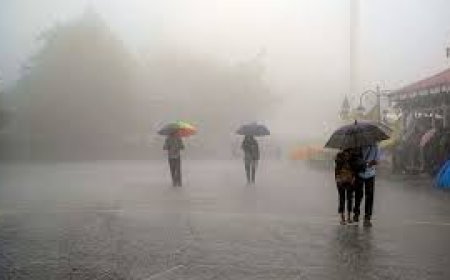 ଉତ୍ତର ଓଡ଼ିଶାରେ ବର୍ଷା