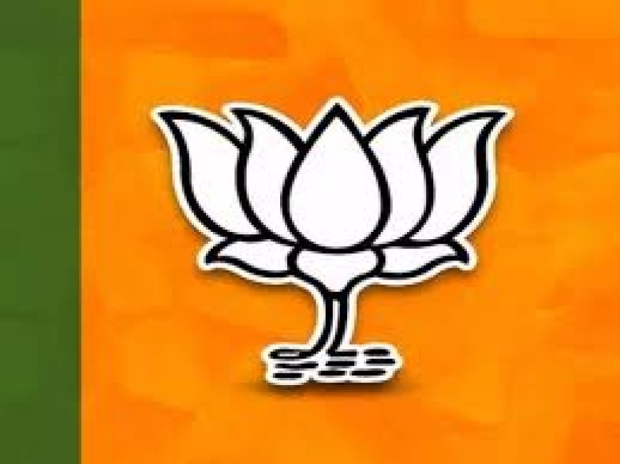 ବିଜେପି ଛାଡ଼ିଲେ ଆଲେକଜାଣ୍ଡାର ଦାସ