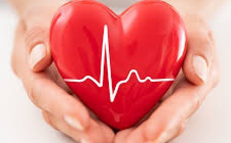 କର୍ମଜୀବୀ ଲୋକ କିପରି ନେବେ ହୃଦୟର ଯତ୍ନ, ଜାଣନ୍ତୁ