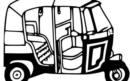 ଲୋକସଭା ‘ଅଟୋ’ ପାଇଁ ହାରିଲା ବିଧାନସଭା ‘ଅଟୋ’