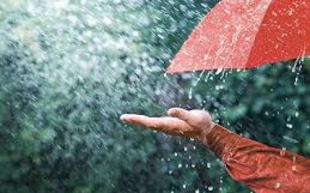 ହେବ ପ୍ରବଳ ବର୍ଷା :ଆଜି ପାଇଁ ୟେଲୋ ୱାର୍ଣ୍ଣିଂ ଜାରି