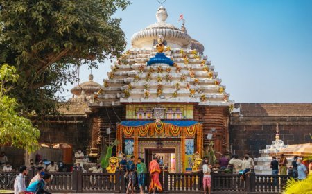 ପବିତ୍ର ଶୀତଳଷଷ୍ଠୀ : ଶ୍ରୀଲିଙ୍ଗରାଜଙ୍କ ମଙ୍ଗଳକୃତ୍ୟ ସମ୍ପନ୍ନ