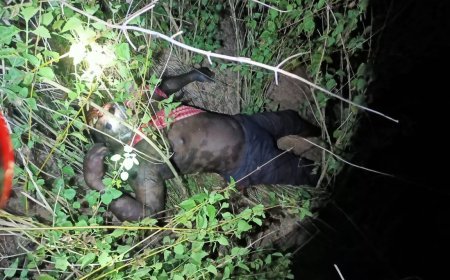 ଯୁବକଙ୍କୁ ହତ୍ୟା କରି ବୁଦାରେ ଫୋପାଡି ଦେଲେ ; ଥାନାରେ ଦୁଇ ଅଟକ