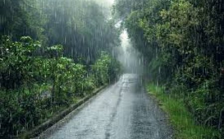 ଲଘୁଚାପ ଆସୁଛି , ୨୮ରୁ ବର୍ଷା ବଢିବ